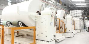 Ngành giấy cơ hội nào cho phát triển bền vững ?