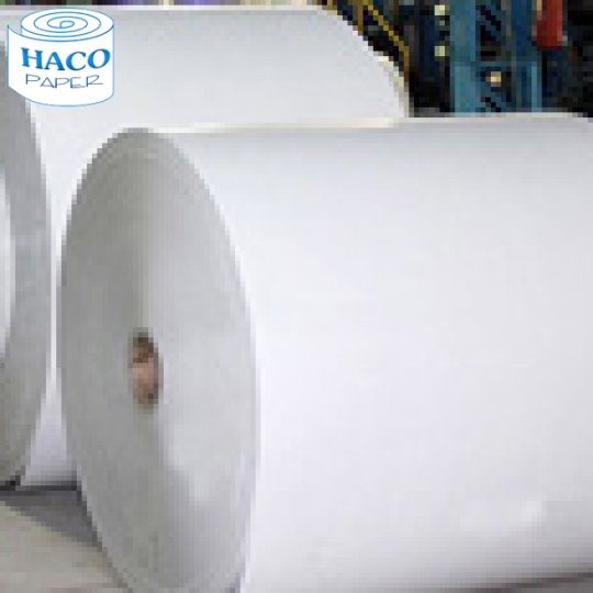 CÔNG TY TNHH GIẤY HA CO