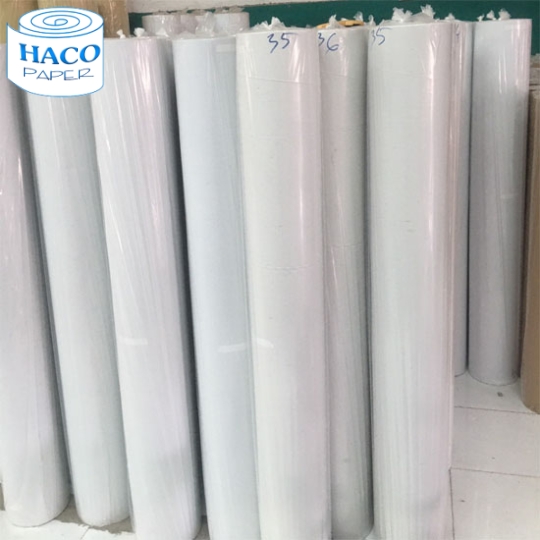 CÔNG TY TNHH GIẤY HA CO