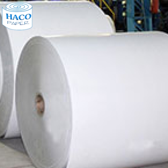 CÔNG TY TNHH GIẤY HA CO