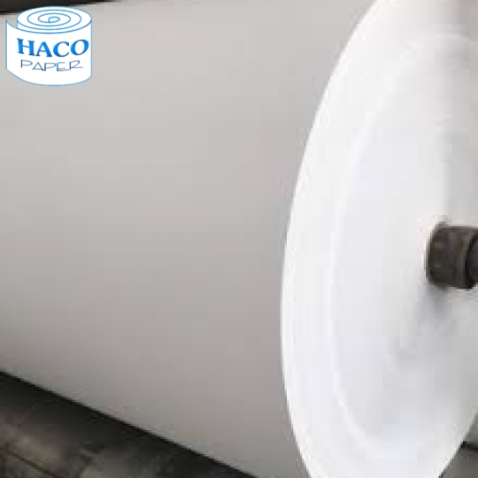 CÔNG TY TNHH GIẤY HA CO
