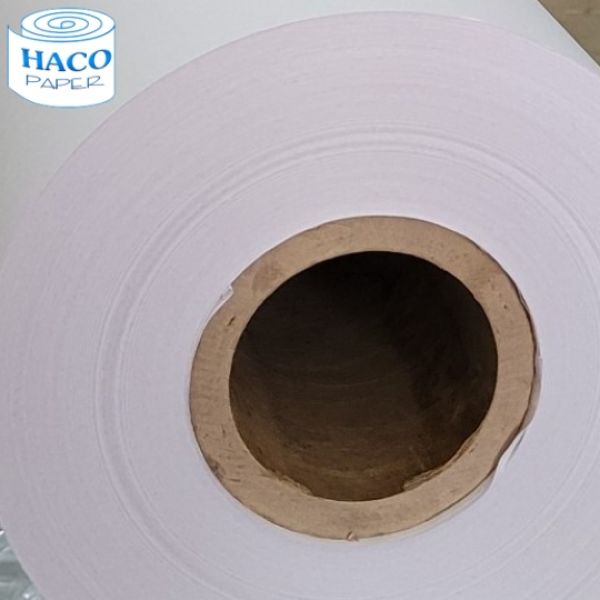 Giấy bìa lưng Giấy bìa lưng