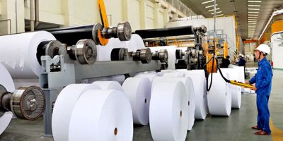 Các loại giấy được dùng trong công nghiệp là gì ?